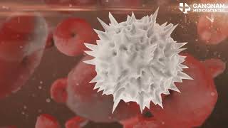 Unlocking the Power of NK Cells in Cancer Treatment [upl. by Acire]