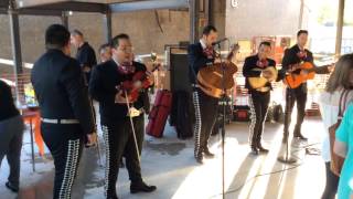 Mariachi Tradicion de Jalisco  Guantanamera  HoustonTexas  8328785343  Adrian Longoria [upl. by Hartzel]