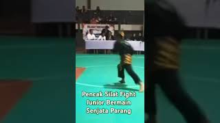 Pencak Silat Fight Junior Bermain Senjata Parang dennywewey9649 [upl. by Lybis922]