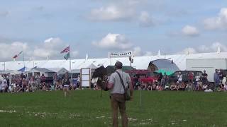 Great Dorset Steam Fair 2017  Ben Potter Falconry [upl. by Liscomb]