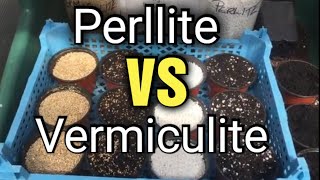 Perlite vs Vermiculite Whats the difference amp which to choose [upl. by Beck]