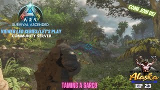 Ark Survival Ascended EP 23 Taming a Sarco [upl. by Dlonyar]