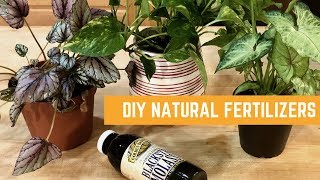 5 EASY  FREE DIY NATURAL FERTILIZERS FOR INDOOR PLANTS  Asiyahs Plant Life [upl. by Heng569]