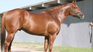 California Stallion Segment Walk Thru Fire [upl. by Leirol]