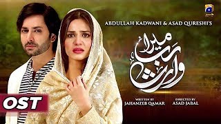 Mera Rab Waris  Full Song  HAR PAL GEO [upl. by Anaj699]