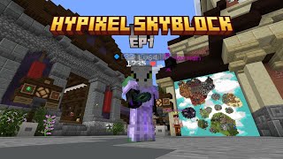 Hypixel Skyblocks EP1 END FARMING [upl. by Aidan]