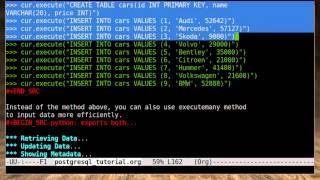 Python Tutorial  PostgreSQL Database Part 2 [upl. by Leiva]