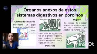 Anatomia y Fisiologia de Monogastricos [upl. by Ellehsad]