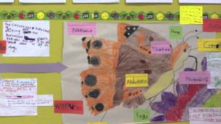 A Place for Wonder Book Study Journey [upl. by Fidellia]