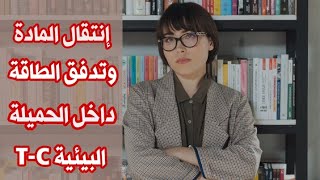 أحسن شرح لدرس تدفق المادة والطاقة داخل الحميلة البيئية جمعTC🏞️ [upl. by Ekaterina549]