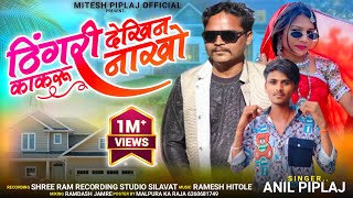 anil piplaj new aadivasi song 2024  ठिगेरी ठिगेरी तूते गणी वो  अनिल पिपलाज का नया गाना 2024 [upl. by Tremaine95]