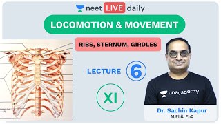 Locomotion amp Movement  L6  Human Skeleton  3  Unacademy NEET  LIVE DAILY  Biology  Sachin Sir [upl. by Waterman255]