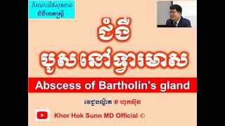 ជំងឺបូសនៅទ្វារមាស l Abscess of Bartholins gland l Gynecology l Khor Hok Sunn MD Official [upl. by Groos958]