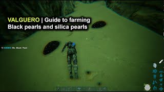 Ark Valguero  Guide to Farming Black Pearls and Silica Pearls [upl. by Schwejda]