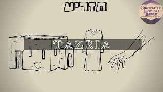 Parshat Tazria תַזְרִיעַ‎ Leviticus 1211359 Audio Complete Jewish Bible [upl. by Elohcan69]