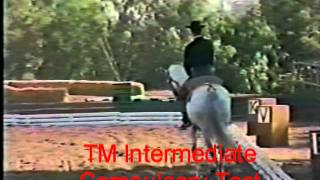 Origins of Working Equitation and Classical Dressage [upl. by Gayle]