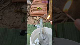 hydrogen gas making and firer 🔥 experiment [upl. by Gnouhc]