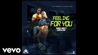 Shaneil Muir Kapella Don  Feeling For You Audio Visual [upl. by Ludwog774]