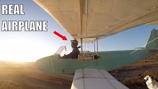 HomeMade Electric Airplane [upl. by Veedis]