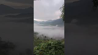 Foggy Mountain view shorts Kerala Abel Shreya shorts jeevan ke dukhoon se shorts [upl. by Mond300]