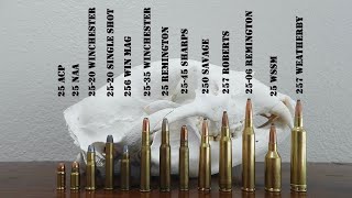 Complete Guide to 25 Caliber Cartridges  25 ACP 2506 257 Weatherby 250 Savage amp More [upl. by Keraj]