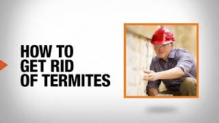 How to Get Rid of Termites  DIY Pest Control  The Home Depot [upl. by Akcebar]