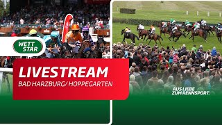 Livestream BerlinHoppegarten Bad Harzburg 2107 [upl. by Annauqaj]