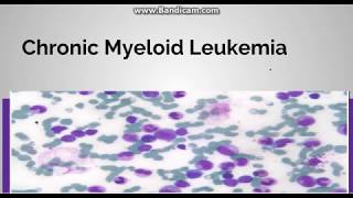 Chronic myeloid leukemia Pathogenesis Staging and periheral blood findings [upl. by Tulley]