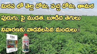 SLR 525 Insecticide Uses Telugu SLR 525 insecticide in telugu  Nagarjuna Index fungicide in Telugu [upl. by Kcirdahs959]