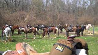 Goofy Ridge Sportsman Club The Chicken Shack Great Chicken [upl. by Latsyrc565]