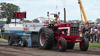 International 1466 Tractor Pulling at Historic Tractor Show Panningen 2023 Almost Full Pull [upl. by Saticilef]