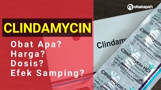 Clindamycin Obat Apa Harga Dosis Efek Samping [upl. by Nguyen]