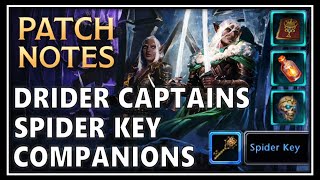 GAME UPDATE Gzemnid Drider Captains More Companions Spider Key amp Random Vanity Pet  Neverwinter [upl. by Newlin]