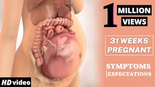 31 Weeks Pregnant Baby Position  Health Care Tips For Pregnant Women [upl. by Thadeus]