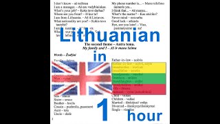 Lithuanian language course Anglų lietuvių kalbos pamokos kursas [upl. by Lifton]