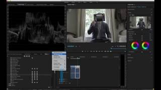 The ColorChecker Video Workflow with Premiere Pro [upl. by Sigismund624]