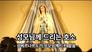 성모님께 드리는 호소가톨릭 기도문 [upl. by Land]