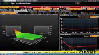 Bloomberg Training Analyzing Equity Options Google Inc  wwwfintutecom [upl. by Hahnke637]