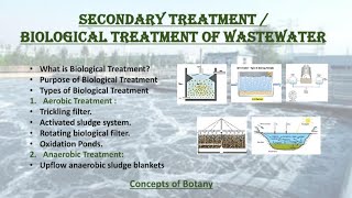 Biological Treatment of Wastewater Secoundary treatment of sewage water Hindi Urdu [upl. by Jannel]