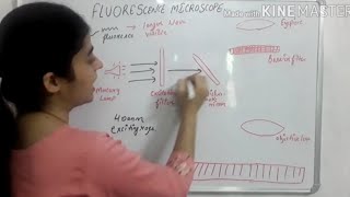 fluorescence microscope with working and principle [upl. by Yelknirb567]