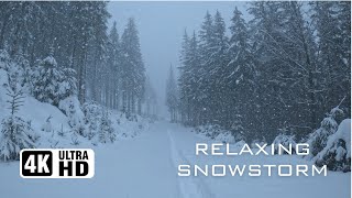 Cozy 3Hour Snowfall Ambience Winter Wonderland Overcome Stress Nature Sounds 4K UHD [upl. by Deehahs299]