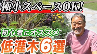 【狭い庭でもOK】初心者でも管理が楽な低木6品種をご紹介お庭をオシャレにする植木をプロが厳選【お庭】【外構】【植栽】【植物】 [upl. by Emlynne]