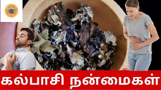 Black Stone Flower Benefits in Tamil  kalpasi  Dagad phool OruNimishamSir [upl. by Yehs249]