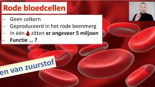 Bloed  Thema transport  BioDam video 1 van 5 [upl. by Male50]