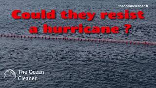 The Ocean Cleaner  Antisargassum barriers that resist Hurricane Beryl  in the Dominican Republic [upl. by Borszcz]