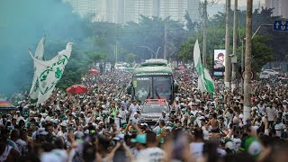 TIME DA VIRADA NOS BRAÇOS DO POVO CORREDOR ALVIVERDE  PALMEIRAS X SANTOS [upl. by Divaj]