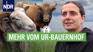 Nichts bleibt wie es ist  auf dem UrBauernhof  die nordstory  NDR [upl. by Wolpert867]