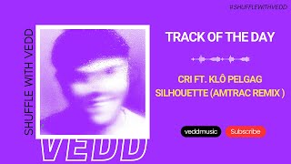 CRi feat Klô Pelgag  Silhouette Amtrac Remix  Anjunadeep  Track of the Day 06032023 [upl. by Amikehs]