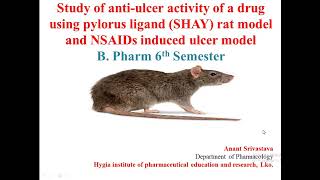 Exp 3 Study of antiulcer activity of a drug using pylorus ligand SHAY amp NSAIDs induces model [upl. by Hsoj]