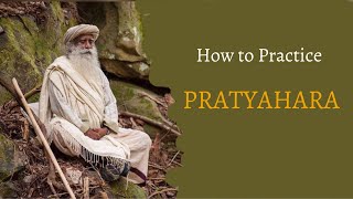 Episode 30 What is Pratyahara  How to Practise it  SADHGURU AND SADHANA [upl. by Fanning]